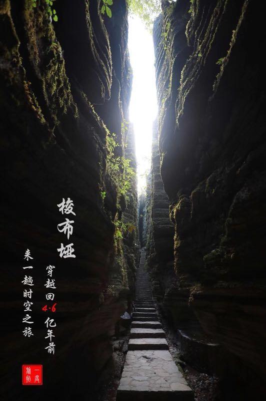 澳洲被近百亿只兔子折腾了几十年，澳洲的兔子没有天敌吗？