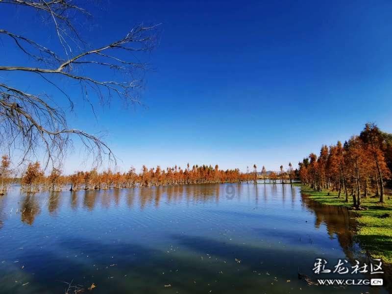 逃出白海豹洞