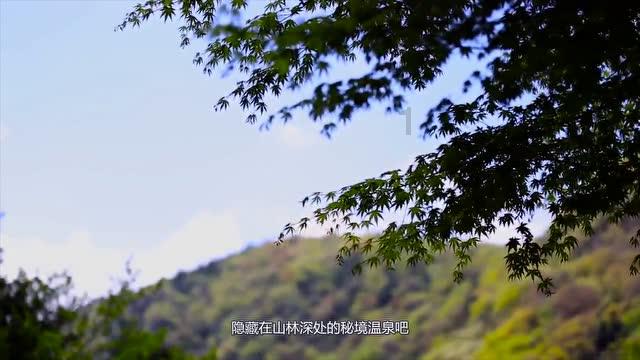 城市街道找不同