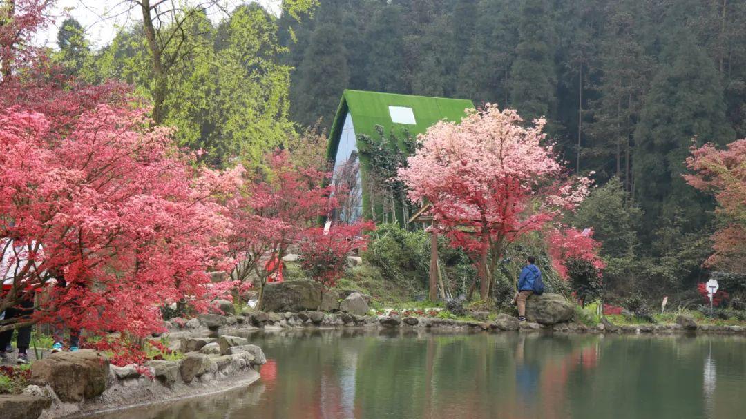 逃离拇指山地