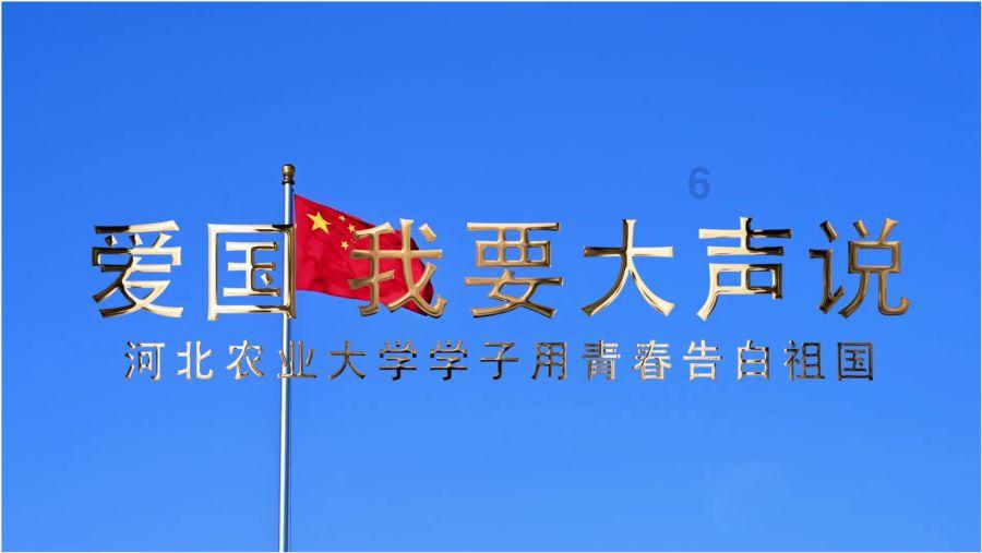 逃离野猫森林