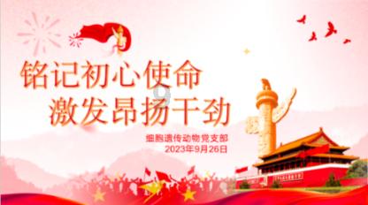 是聪明好还是糊涂好