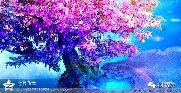 超物理基斗